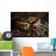 Rock Crab Hood Canal Wall Decal