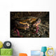 Rock Crab Hood Canal Wall Decal