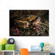 Rock Crab Hood Canal Wall Decal