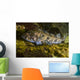 Lingcod Hood Canal Puget Wall Decal