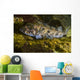 Lingcod Hood Canal Puget Wall Decal