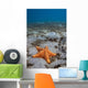 Starfish near Blue Heron Wall Decal