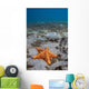 Starfish near Blue Heron Wall Decal
