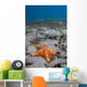 Starfish near Blue Heron Wall Decal