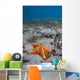 Starfish near Blue Heron Wall Decal