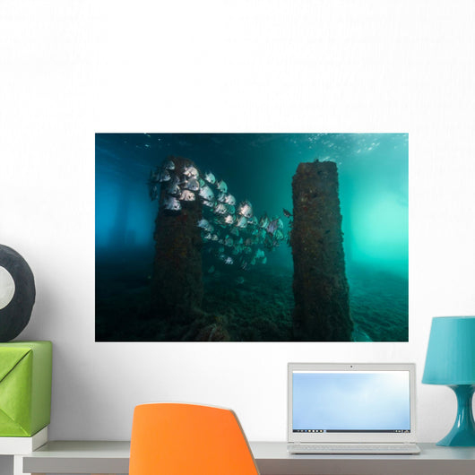Spadefish Circle Pier Blue Distant Wall Decal