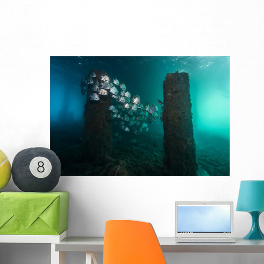 Spadefish Circle Pier Blue Distant Wall Decal
