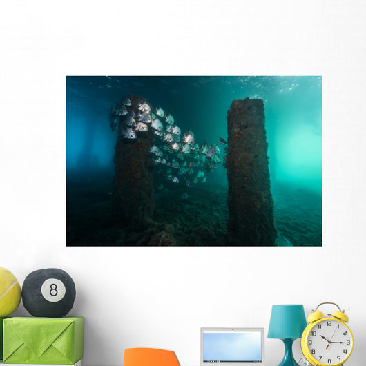 Spadefish Circle Pier Blue Distant Wall Decal