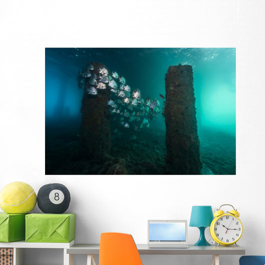 Spadefish Circle Pier Blue Distant Wall Decal