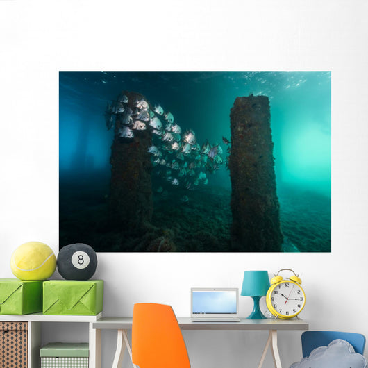 Spadefish Circle Pier Blue Distant Wall Decal
