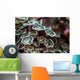 Macro Look Coral Reef Wall Decal
