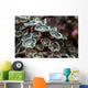 Macro Look Coral Reef Wall Decal