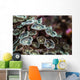 Macro Look Coral Reef Wall Decal