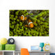 False Clown Anemonefish Hide Wall Decal
