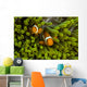 False Clown Anemonefish Hide Wall Decal