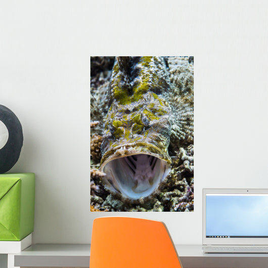 Crocodile Flathead Opens Mouth Wall Decal