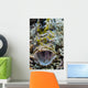 Crocodile Flathead Opens Mouth Wall Decal