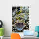 Crocodile Flathead Opens Mouth Wall Decal