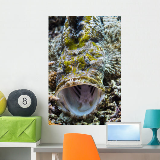 Crocodile Flathead Opens Mouth Wall Decal