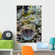 Crocodile Flathead Opens Mouth Wall Decal
