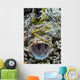 Crocodile Flathead Opens Mouth Wall Decal
