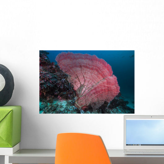 Sea Fan Raja Ampat Wall Decal