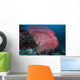 Sea Fan Raja Ampat Wall Decal