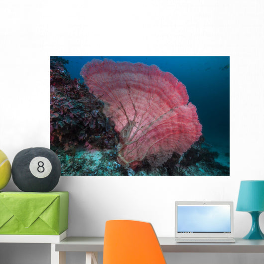 Sea Fan Raja Ampat Wall Decal