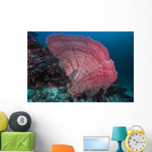 Sea Fan Raja Ampat Wall Decal