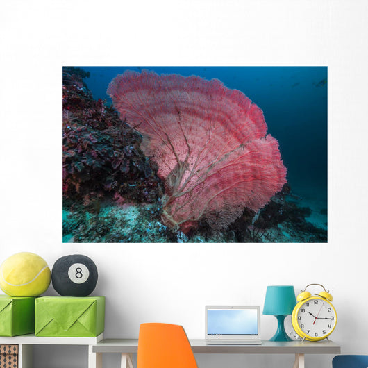Sea Fan Raja Ampat Wall Decal