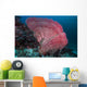 Sea Fan Raja Ampat Wall Decal