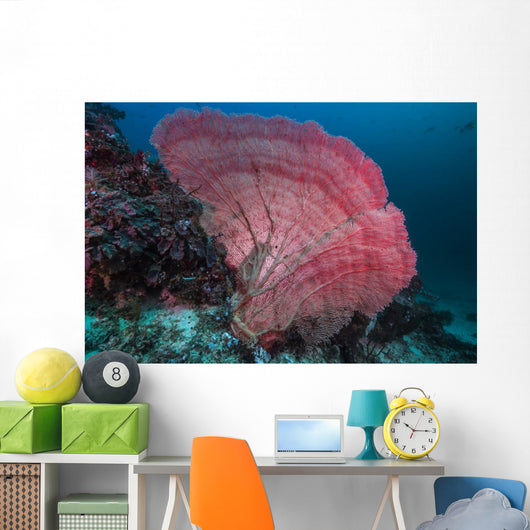 Sea Fan Raja Ampat Wall Decal
