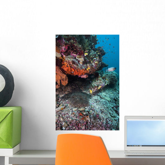 Coral Reef Raja Ampat Swimming Fish Wall Decal