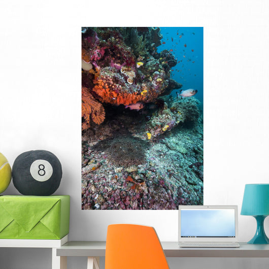 Coral Reef Raja Ampat Swimming Fish Wall Decal