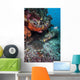 Coral Reef Raja Ampat Swimming Fish Wall Decal