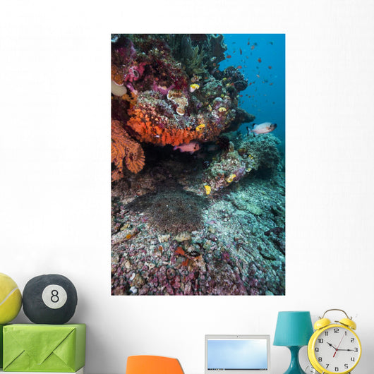 Coral Reef Raja Ampat Swimming Fish Wall Decal