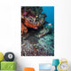 Coral Reef Raja Ampat Swimming Fish Wall Decal