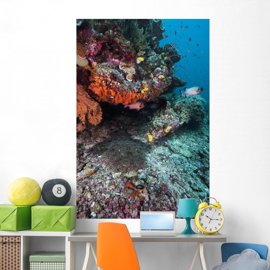Coral Reef Raja Ampat Swimming Fish Wall Decal