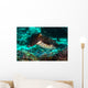 Cuttlefish Raja Ampat Indonesia Wall Decal