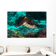 Cuttlefish Raja Ampat Indonesia Wall Decal