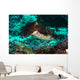 Cuttlefish Raja Ampat Indonesia Wall Decal
