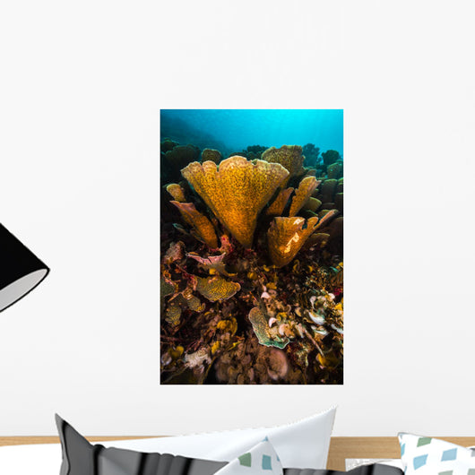Coral Reef Raja Ampat Yellow Wall Decal