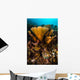 Coral Reef Raja Ampat Yellow Wall Decal
