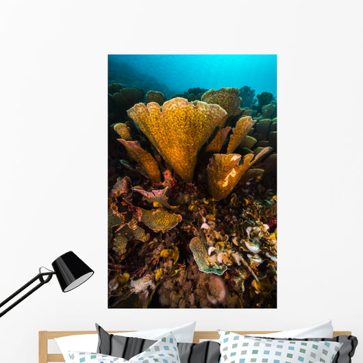 Coral Reef Raja Ampat Yellow Wall Decal