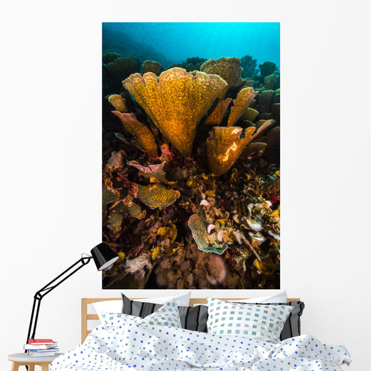 Coral Reef Raja Ampat Yellow Wall Decal