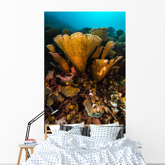 Coral Reef Raja Ampat Yellow Wall Decal