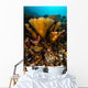 Coral Reef Raja Ampat Yellow Wall Decal