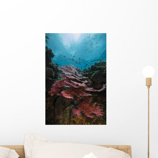 Coral Reef Raja Ampat Light Wall Decal