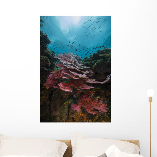 Coral Reef Raja Ampat Light Wall Decal
