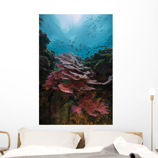 Coral Reef Raja Ampat Light Wall Decal